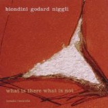 What Is There What Is Not / Godard / Biondini / Niggli