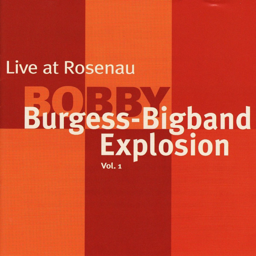 Live at Rosenau Vol. 1