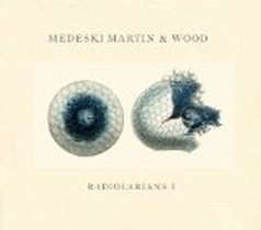 Radiolarians1 / Medeski Martin and Wood