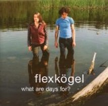 What Are Days For? / Flexkögel